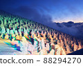 Illuminated rime on the Zao Onsen ski resort 88294270