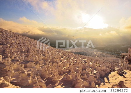 藏王溫泉滑雪場樹上的霧凇 藏王溫泉滑雪場樹上的霧凇 88294272