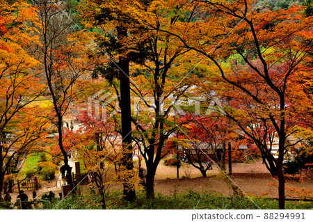 Autumn leaves and Korankei Autumn leaves and Korankei 88294991
