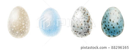 Bird eggs watercolor illustration set. Hand drawn realistic natural various birds egg collection. Bird spotted eggs on white background Bird eggs watercolor illustration set. Hand drawn realistic natural various birds egg collection. Bird spotted eggs on white background 88296165