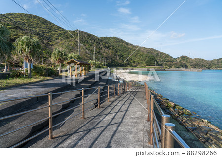 奄美大島的Taenhama海灘 奄美大島的Taenhama海灘 88298266