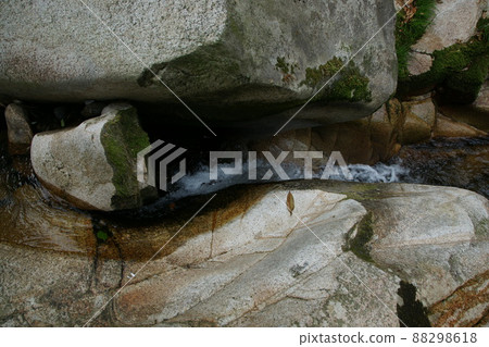 鳥取四季節步行秋江 88298618