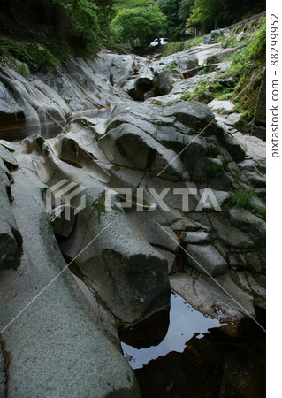 鳥取四季節步行秋江 88299952