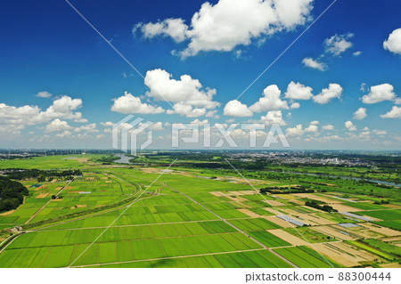 Aerial view of paddy field scenery in Abiko City, Chiba Prefecture 88300444