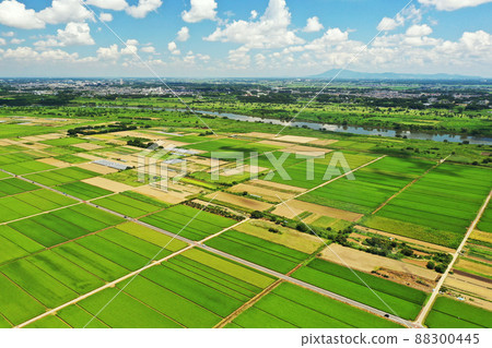Aerial view of paddy field scenery in Abiko City, Chiba Prefecture 88300445