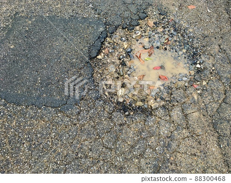 The asphalted road 88300468