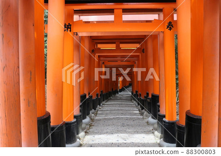 Fushimi-Inari Taisha  88300803