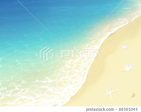 海灘和貝殼的背景材料 88301043
