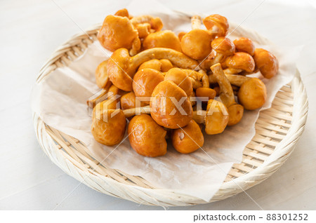 Giant nameko Toriumi nameko 88301252