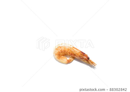 Sakura shrimp, dried, single item shooting, close-up 88302842