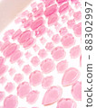 jelly 88302997