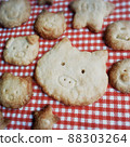 Boo-chan cookie 88303264