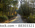 Autumn scenery of Hongneung Forest 88303321
