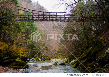 Scenery of Oku Iya Double Kazura Bridge (Otokobashi) Scenery of Oku Iya Double Kazura Bridge (Otokobashi) 88303365