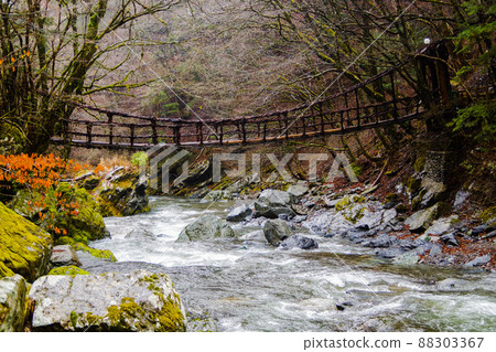 Scenery of Oku Iya Double Kazura Bridge (Onnabashi) Scenery of Oku Iya Double Kazura Bridge (Onnabashi) 88303367