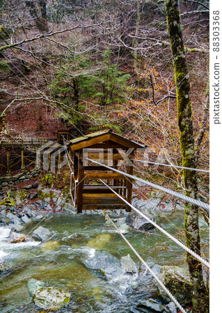 Scenery of Oku Iya Double Kazura Bridge (Wild Monkey) Scenery of Oku Iya Double Kazura Bridge (Wild Monkey) 88303368