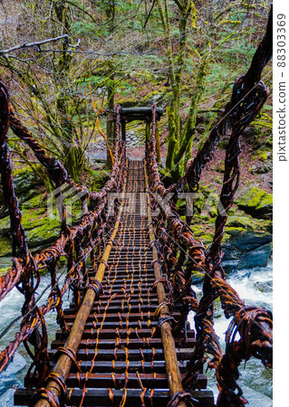 Scenery of Oku Iya Double Kazura Bridge (Onnabashi) Scenery of Oku Iya Double Kazura Bridge (Onnabashi) 88303369