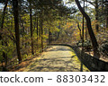 Hongneung Forest Promenade 88303432