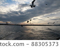 Open sea  88305373