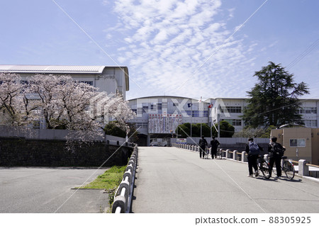 櫻花盛開福岡縣立三池工業高中 88305925