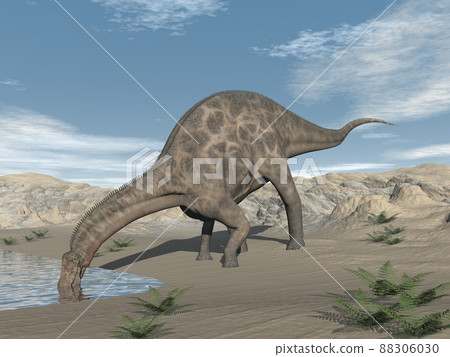Dicraeosaurus dinosaur drinking in the desert - 3D render Dicraeosaurus dinosaur drinking in the desert - 3D render 88306030