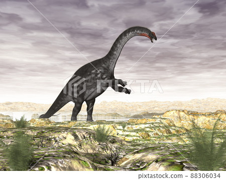 Apatosaurus dinosaur in the desert - 3D render Apatosaurus dinosaur in the desert - 3D render 88306034