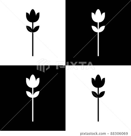 Seamless floral pattern vector flower shape doodle plant abstract background illustration for digital and print materials. 88306069