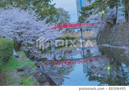 Cherry blossoms and castle 88306495