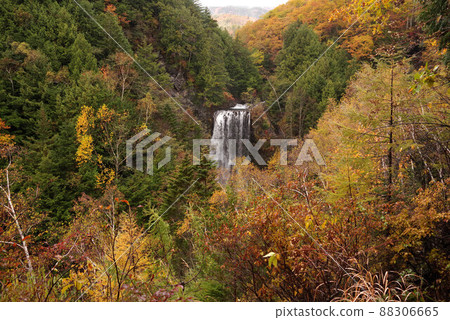 Autumn leaves on the Zengorono Falls promenade 88306665