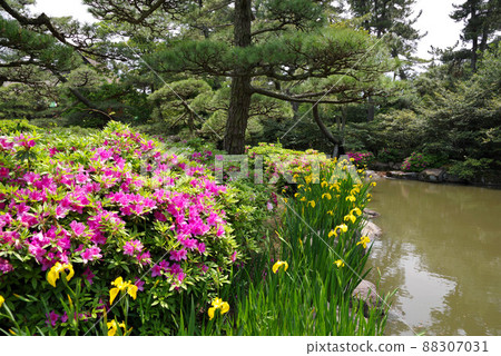 Nakatsu Manjuen Garden 88307031