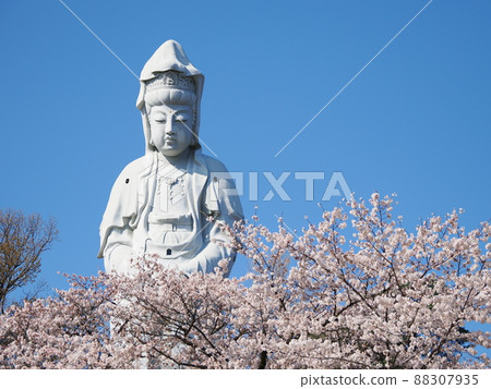 Takasaki Shiroi Daikannon and Yoshino cherry tree in full bloom Takasaki Shiroi Daikannon and Yoshino cherry tree in full bloom 88307935