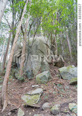 本宮路大岩（卡巴山） 88308027
