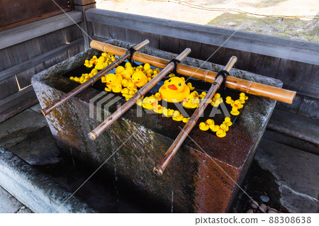 鴨子和Chozuya 88308638