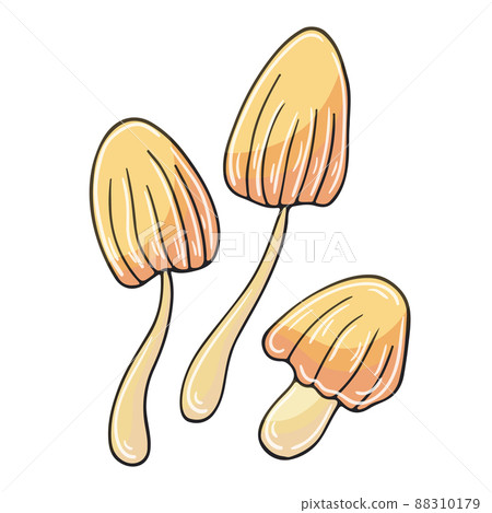 Autumn illustration in hand drawn style. Children's drawing 88310179