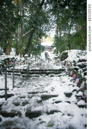 雪中的金剛林寺 2022 年 1 月 88310550