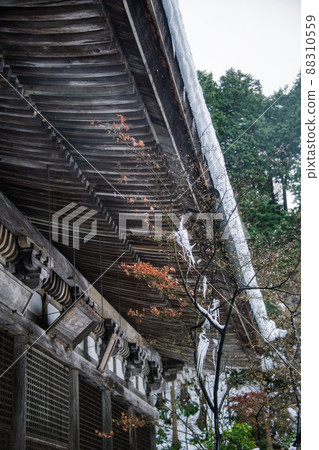 雪中的金剛林寺 2022 年 1 月 88310559