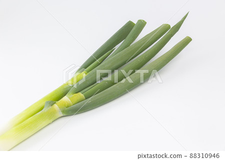 白洋蔥 白洋蔥 88310946