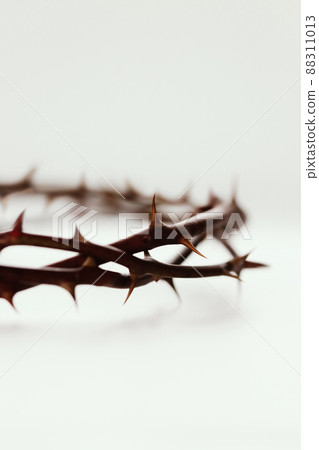 Crown of thorns symbolizing the sacrifice, suffering and resurrection of Jesus Christ on the cross and light background Crown of thorns symbolizing the sacrifice, suffering and resurrection of Jesus Christ on the cross and light background 88311013