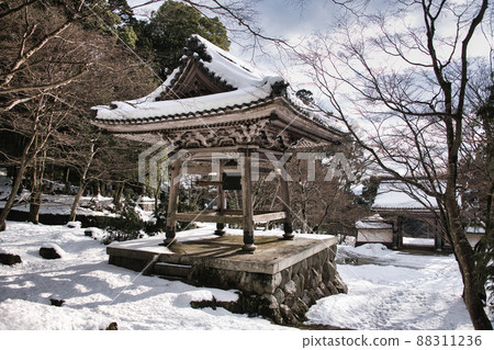 東光路雪景 2022 年 1 月 88311236