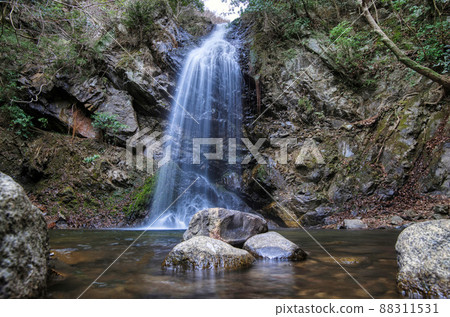 Shirafujitaki 88311531