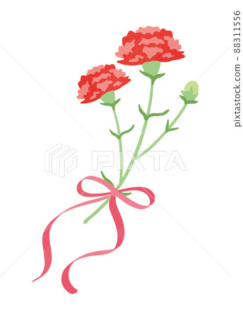 Carnation Carnation 88311556