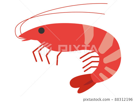 Shrimp Shrimp 88312196