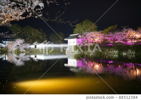 小田原城堡在夜櫻花 小田原城堡在夜櫻花 88312384