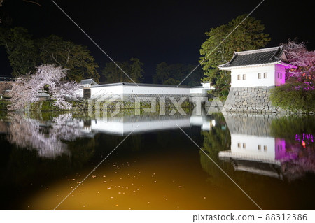 小田原城堡在夜櫻花 88312386