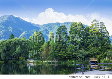 新鮮的綠色湯布院金卡湖 88313101