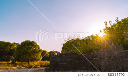 Donana National Park in Spain A UNESCO World Heritage Site 88313792