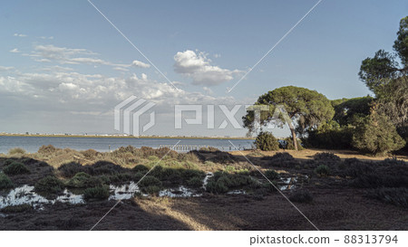 Donana National Park in Spain A UNESCO World Heritage Site 88313794
