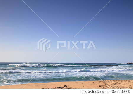 日本海 日本海 88313888
