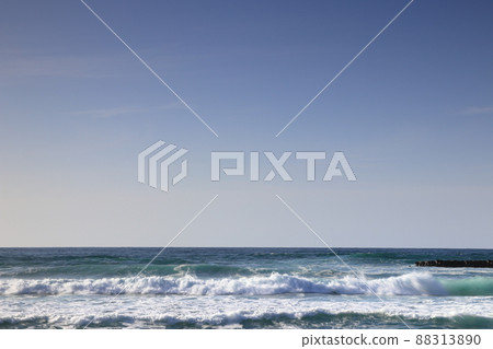 日本海 日本海 88313890