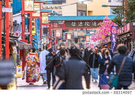 View of "Dempoin Street" (Dempoin Street) from Sensoji Temple / Nakamise Street in Tokyo, Japan View of "Dempoin Street" (Dempoin Street) from Sensoji Temple / Nakamise Street in Tokyo, Japan 88314097